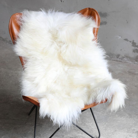 Heidschnucke Naturweiß