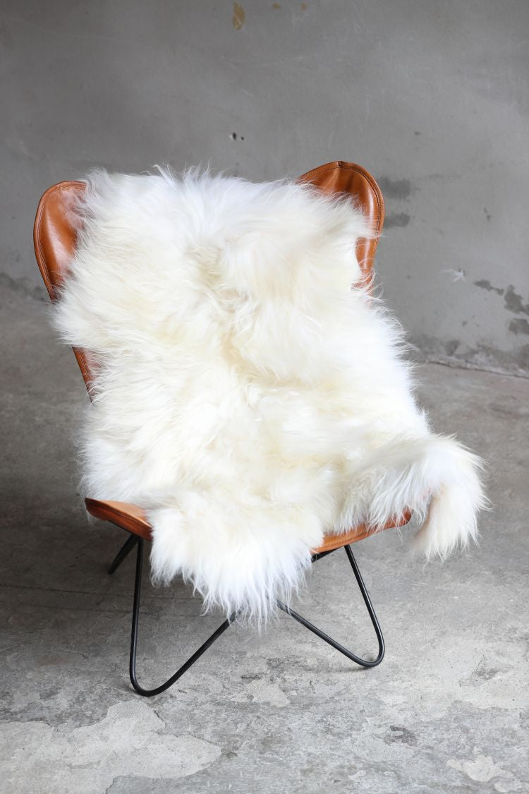 Heidschnucke Naturweiß