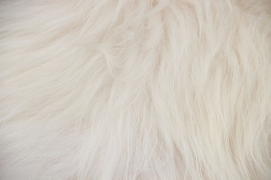 Heidschnucke Naturweiß