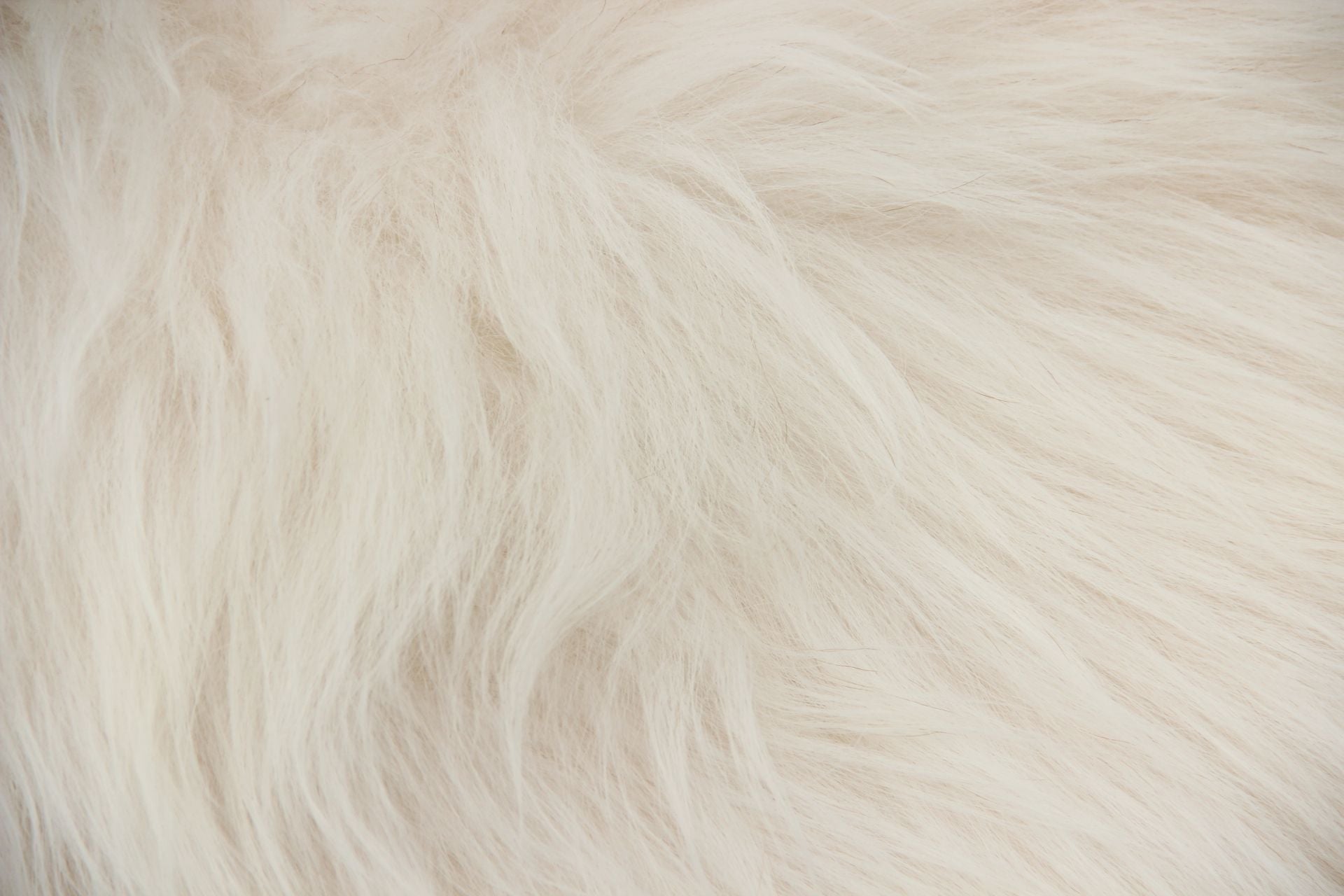 Heidschnucke Naturweiß