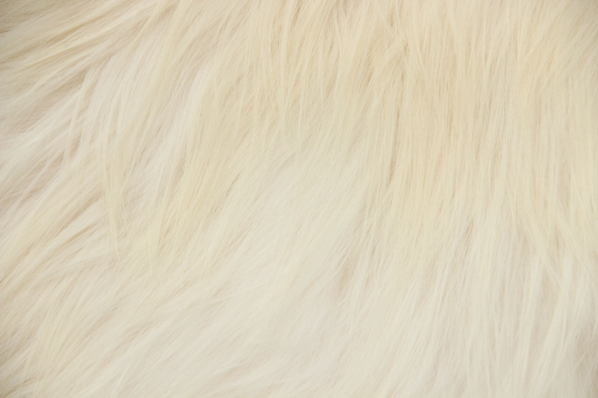 Heidschnucke Naturweiß