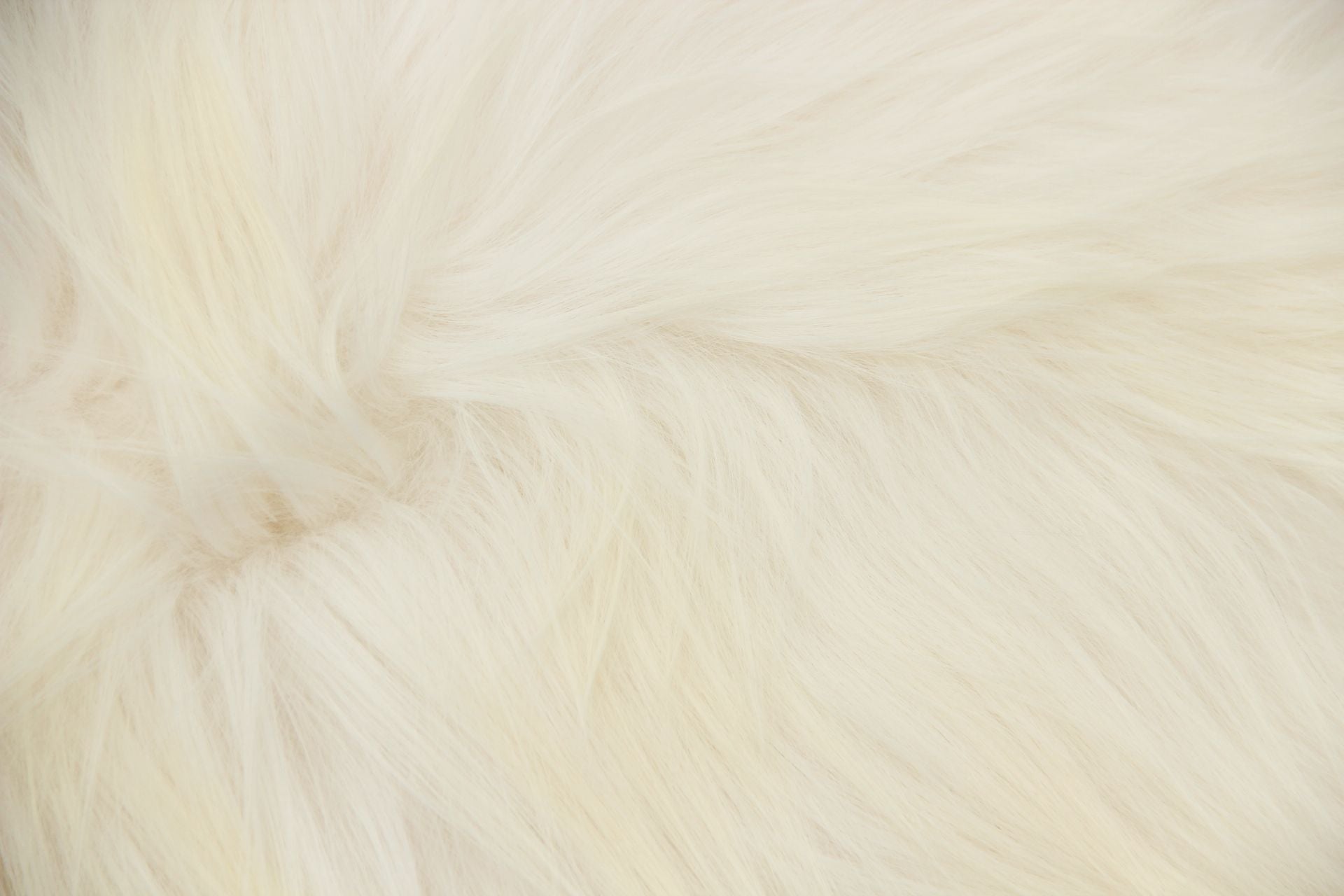 Heidschnucke Naturweiß