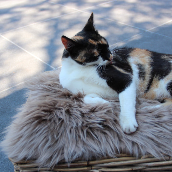 Lammfell Sitzauflage Eckig Taupe