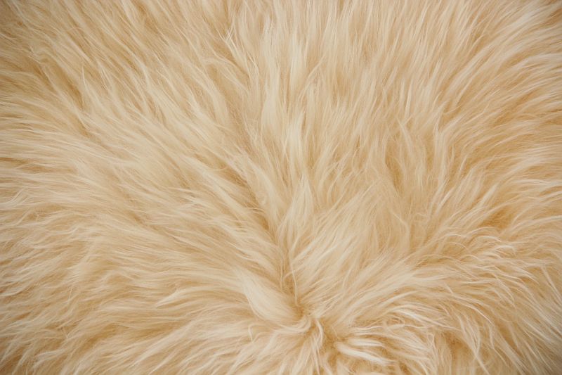 Lammfell Pastell Gelb