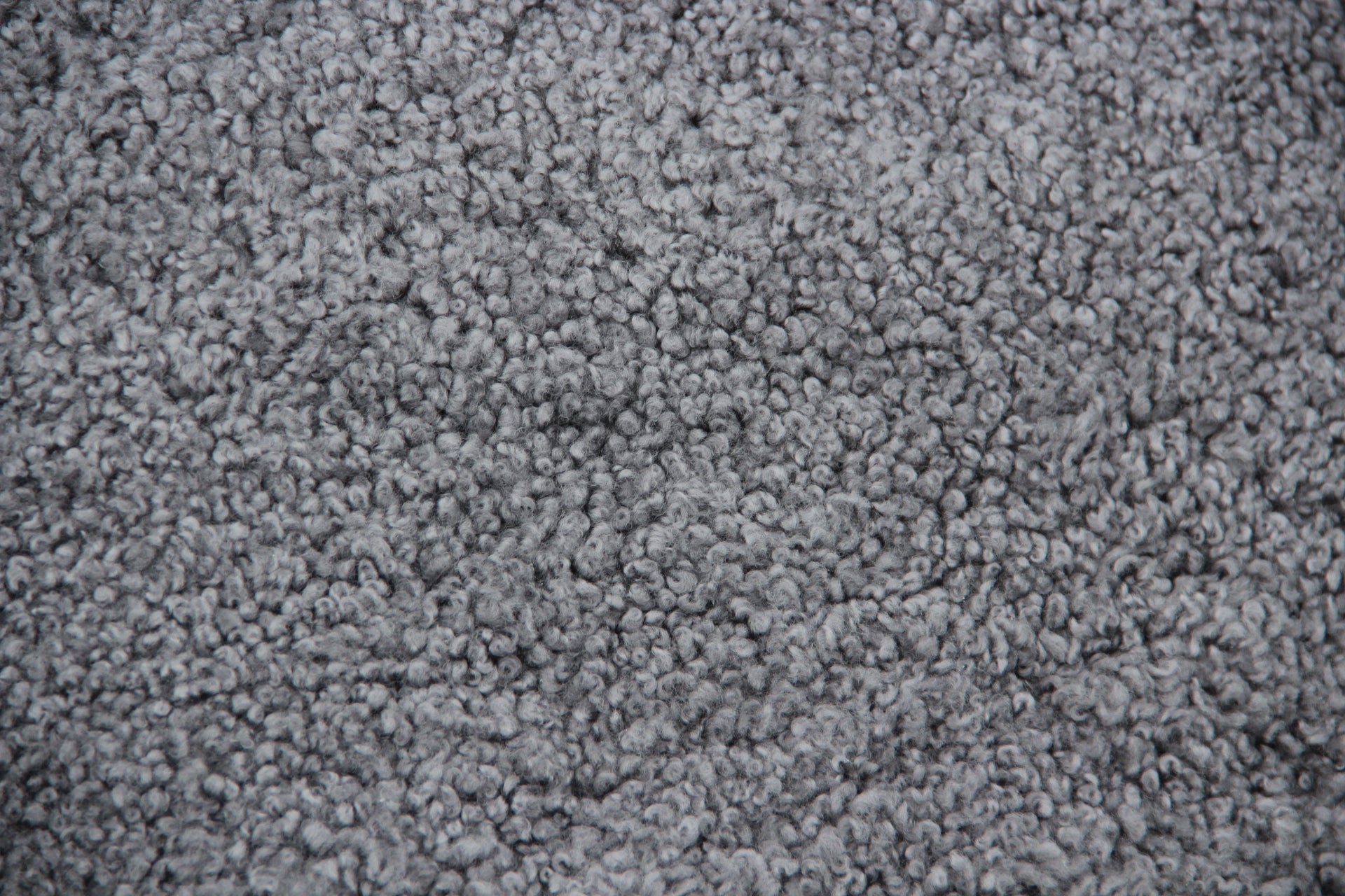 Lammfell Curly - Grau - (geschoren gelockt)