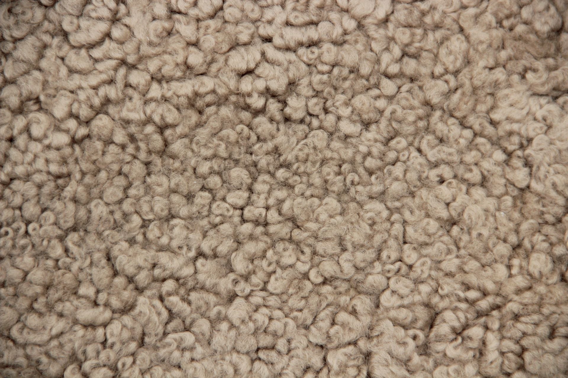 Lammfell Curly - Sand - (geschoren gelockt beige/braun)