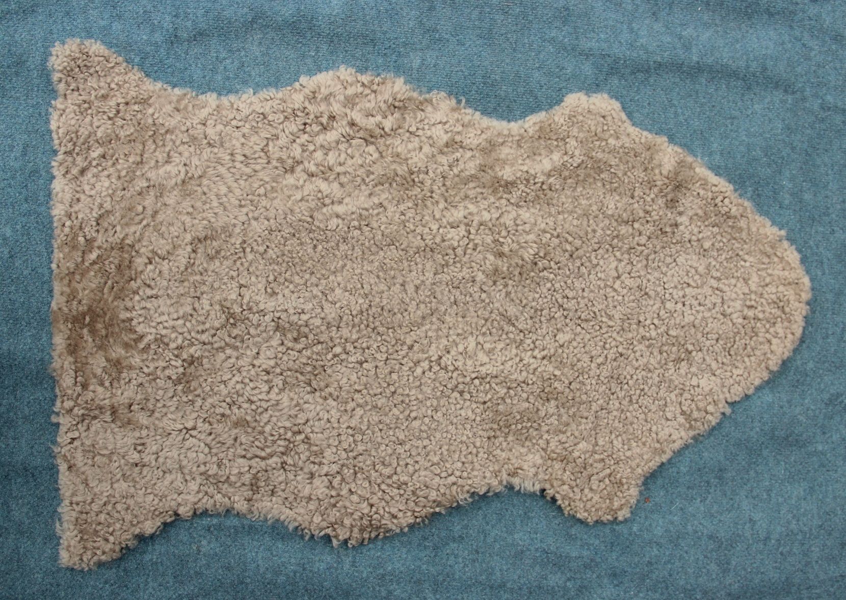 Lammfell Curly - Sand - (geschoren gelockt beige/braun)