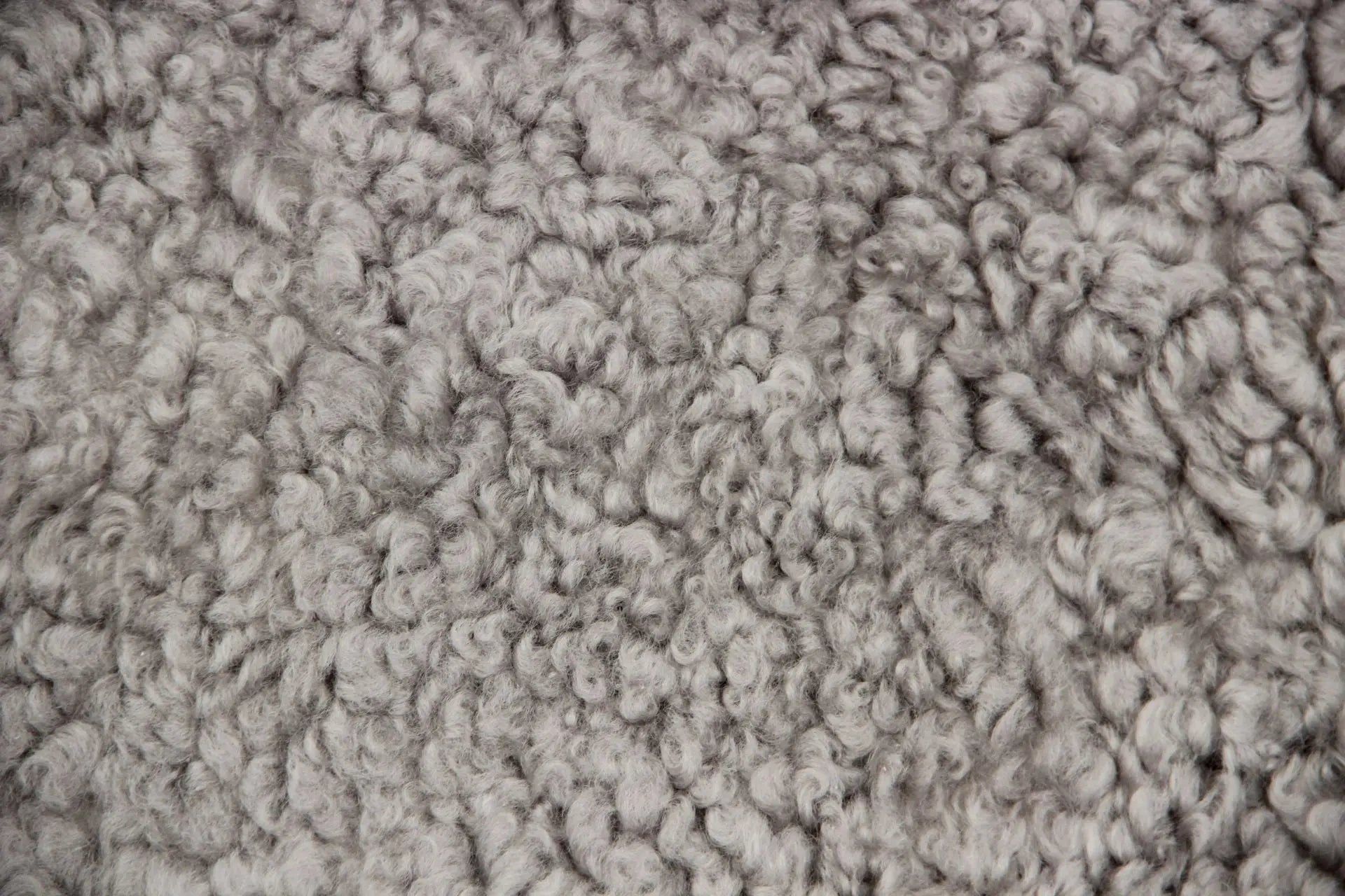 Lammfell Curly - Platin - (geschoren gelockt hellgrau)