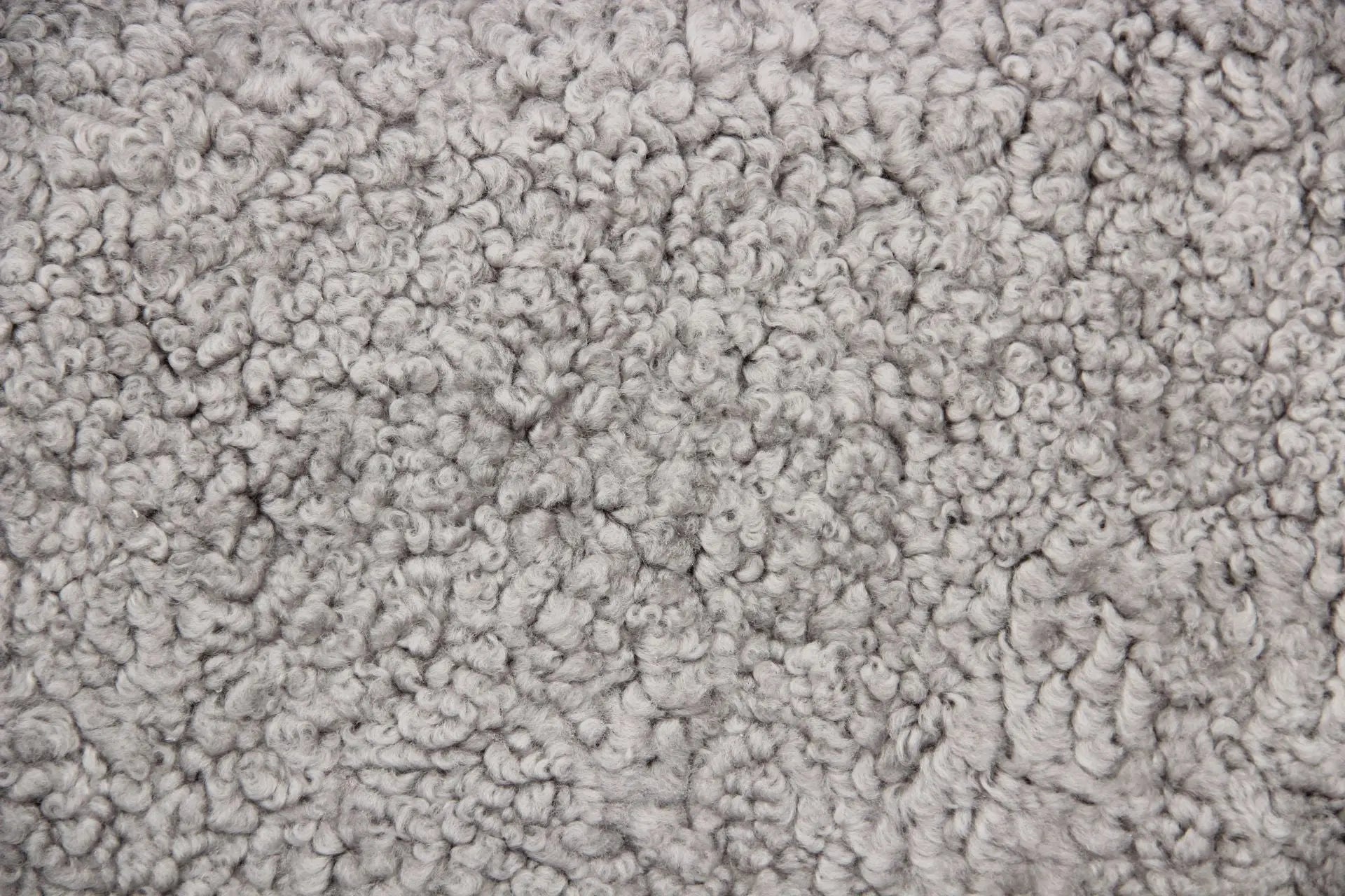 Lammfell Curly - Platin - (geschoren gelockt hellgrau)