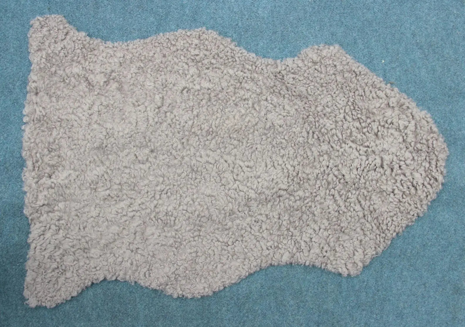 Lammfell Curly - Platin - (geschoren gelockt hellgrau)