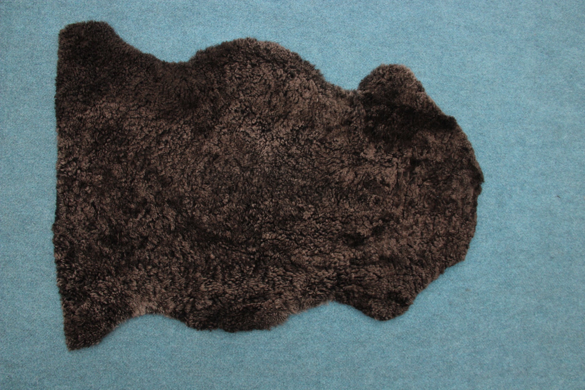 Lammfell Curly -  Mocca - (geschoren gelockt braun)