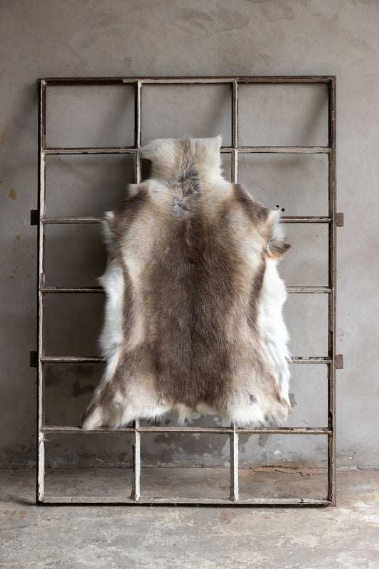 Rentierfell Naturfarben