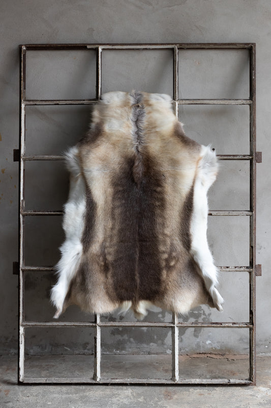 Rentierfell Naturfarben