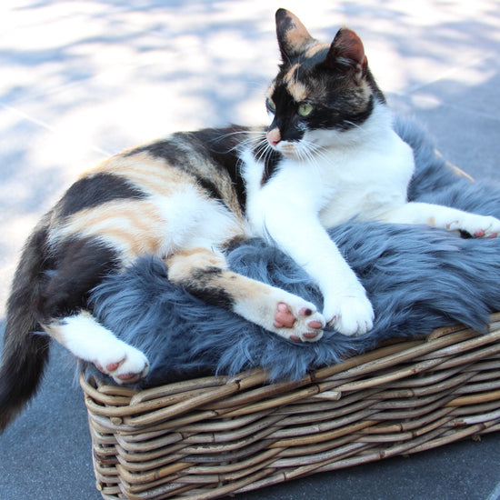 Lammfell Sitzauflage Eckig Anthrazit