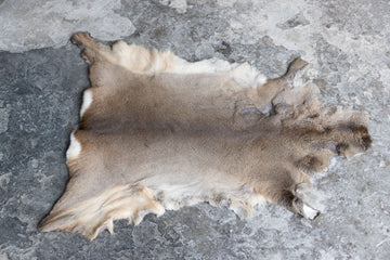 Rehdecke Rehfell mit Fehler