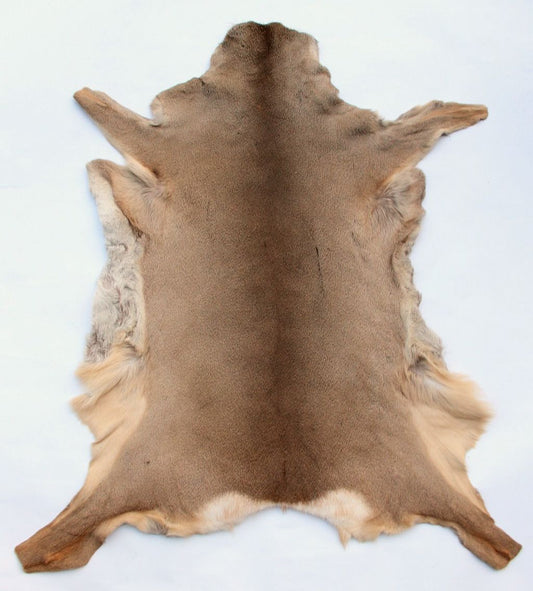 Rehdecke Rehfell 1. Wahl (Winterfell)