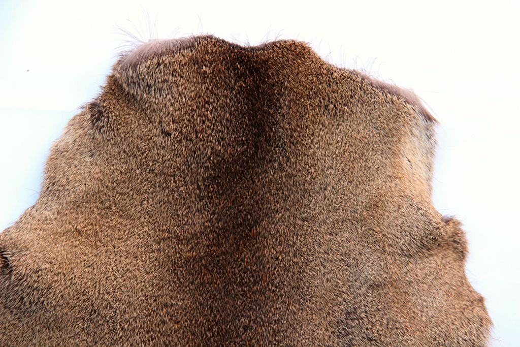 Rehdecke Rehfell 1. Wahl (Winterfell)