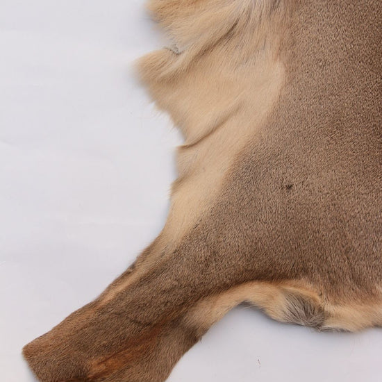 Rehdecke Rehfell 1. Wahl (Winterfell)