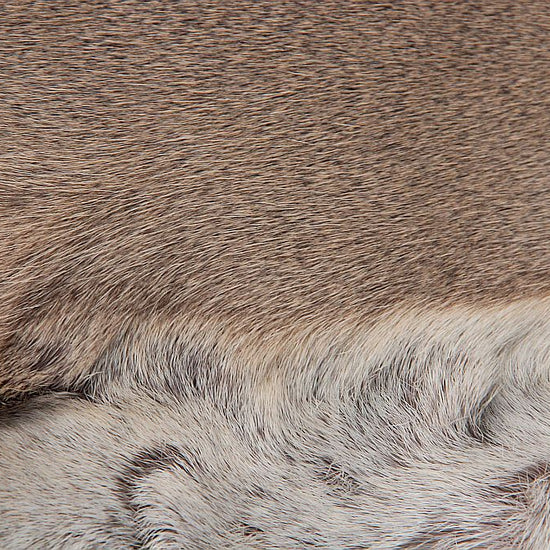 Rehdecke Rehfell 1. Wahl (Winterfell)