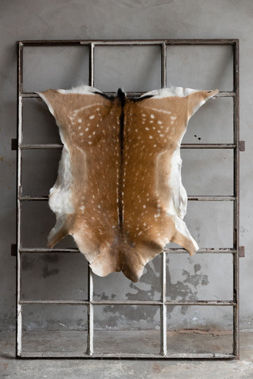 Damhirschdecke Hirschdecke Hirschfell gepunktet Winterfell