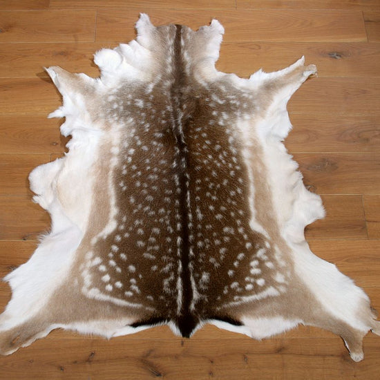 Damhirschdecke Hirschdecke Hirschfell gepunktet Winterfell
