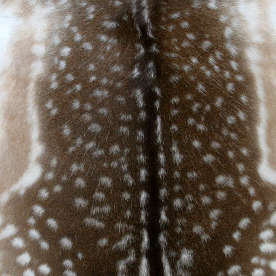 Damhirschdecke Hirschdecke Hirschfell gepunktet Winterfell