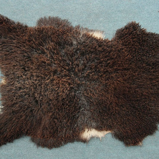 Gotland Schaffell (21)