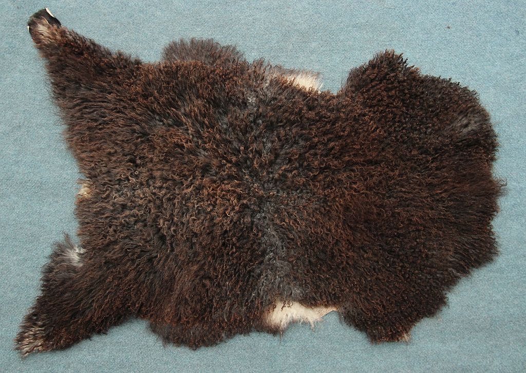 Gotland Schaffell (21)