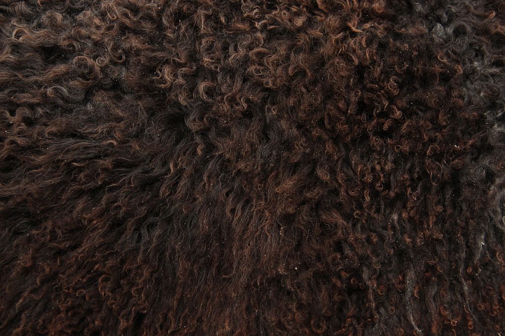 Gotland Schaffell (21)