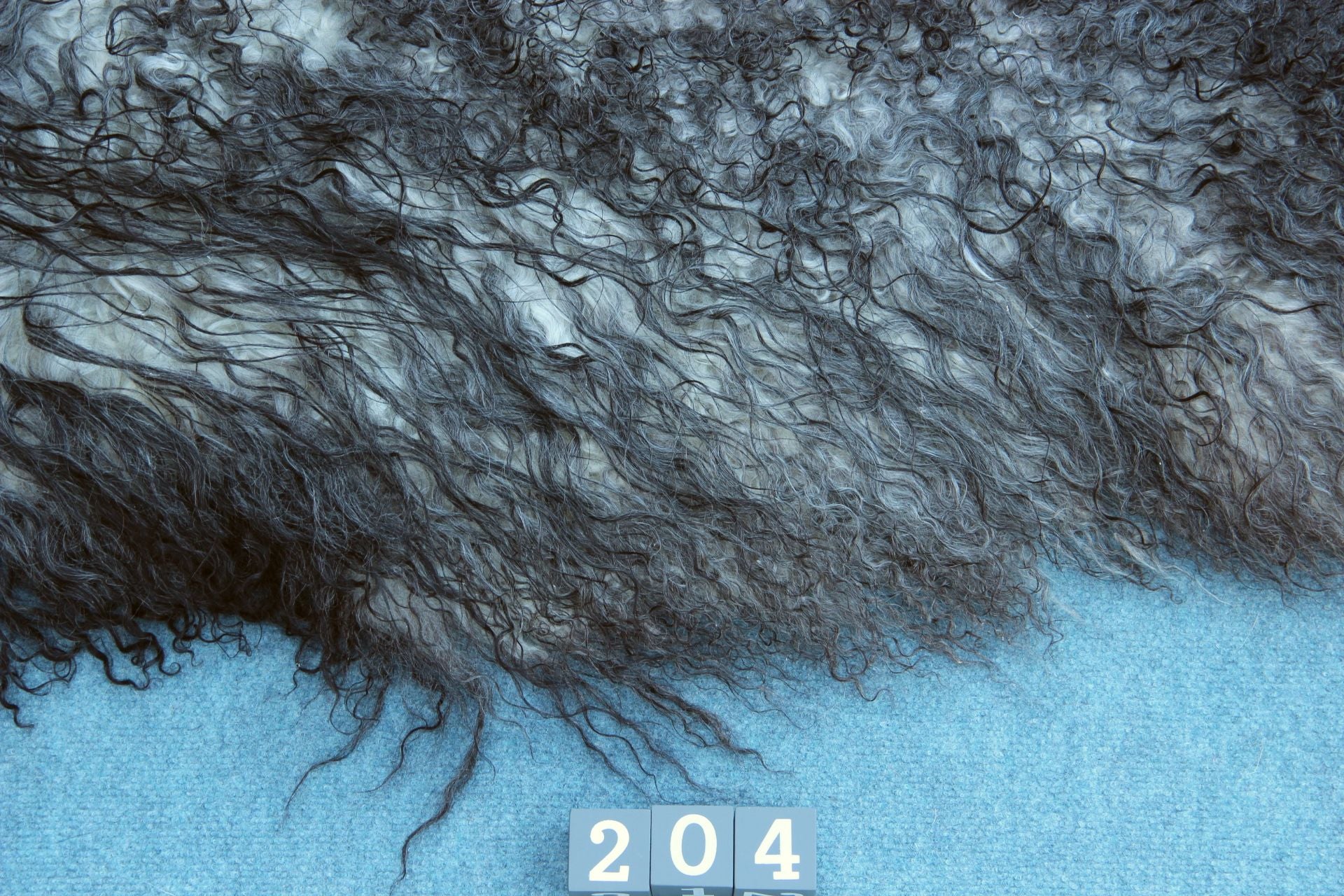 Gotland Schaffell (204)