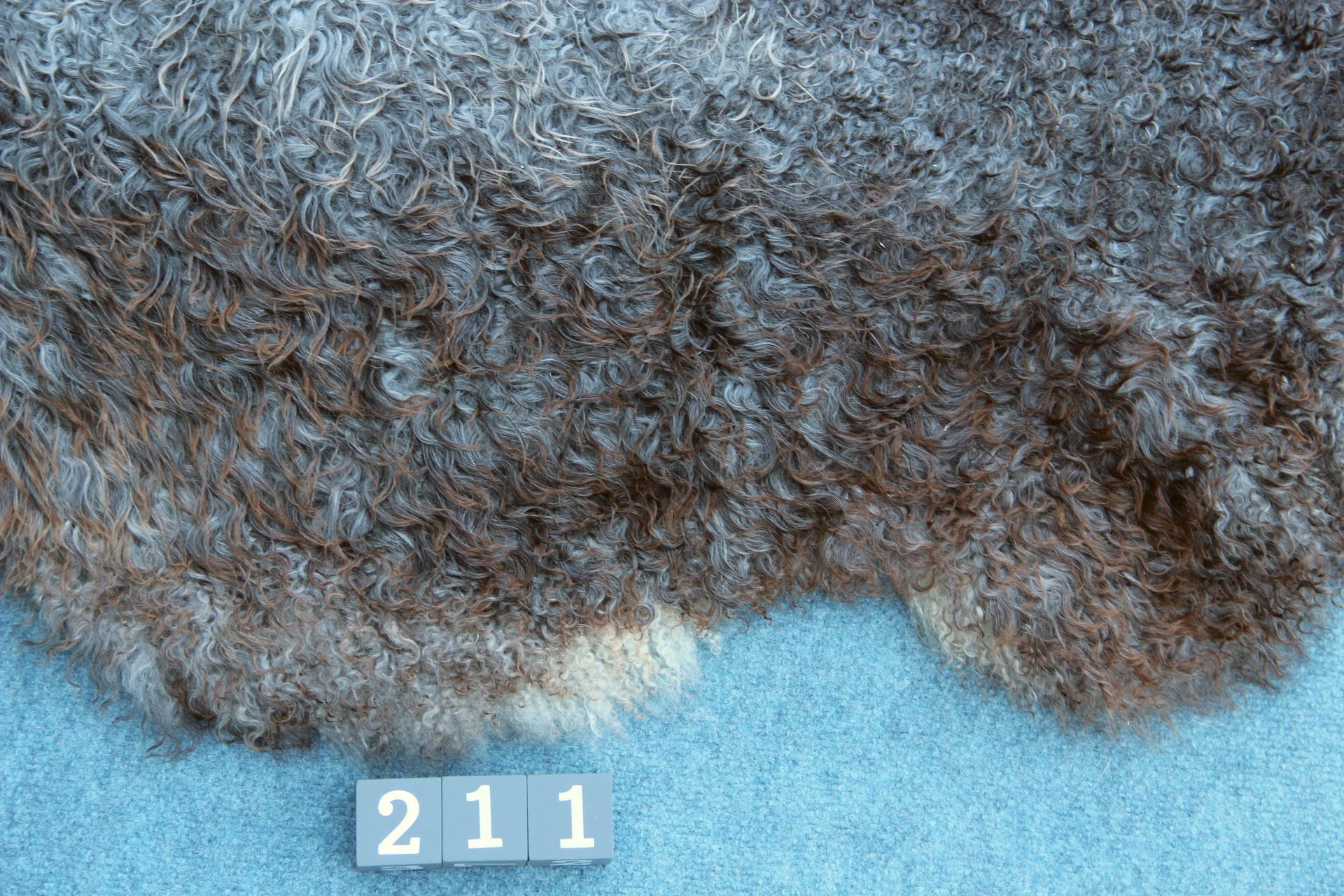 Gotland Schaffell (211)