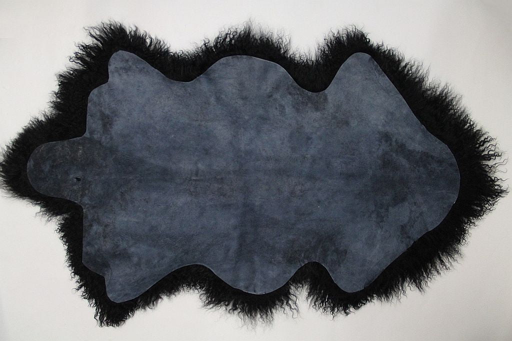 Tibet Schaffell wie Gotland schwarz gefärbt