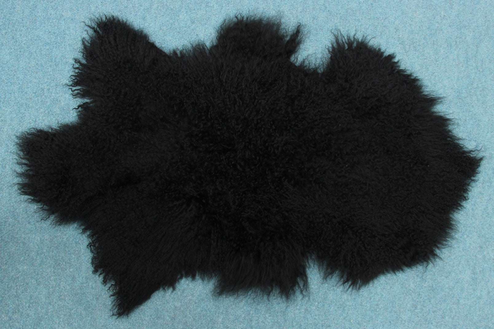 Tibet Schaffell wie Gotland schwarz gefärbt