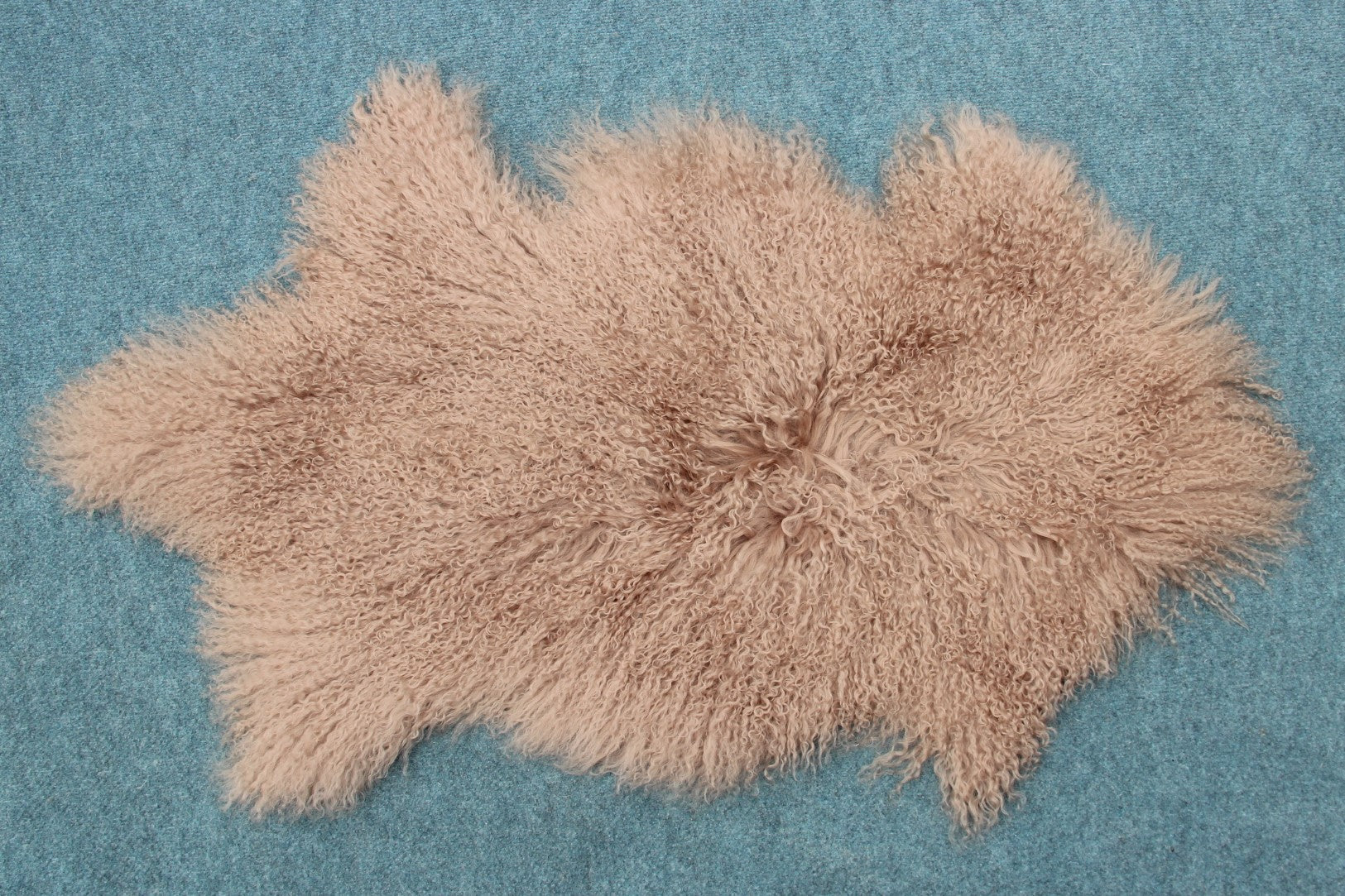 Tibet Schaffell wie Gotland taupe gefärbt