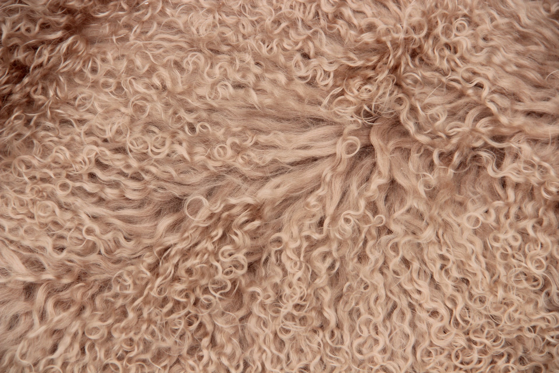 Tibet Schaffell wie Gotland taupe gefärbt