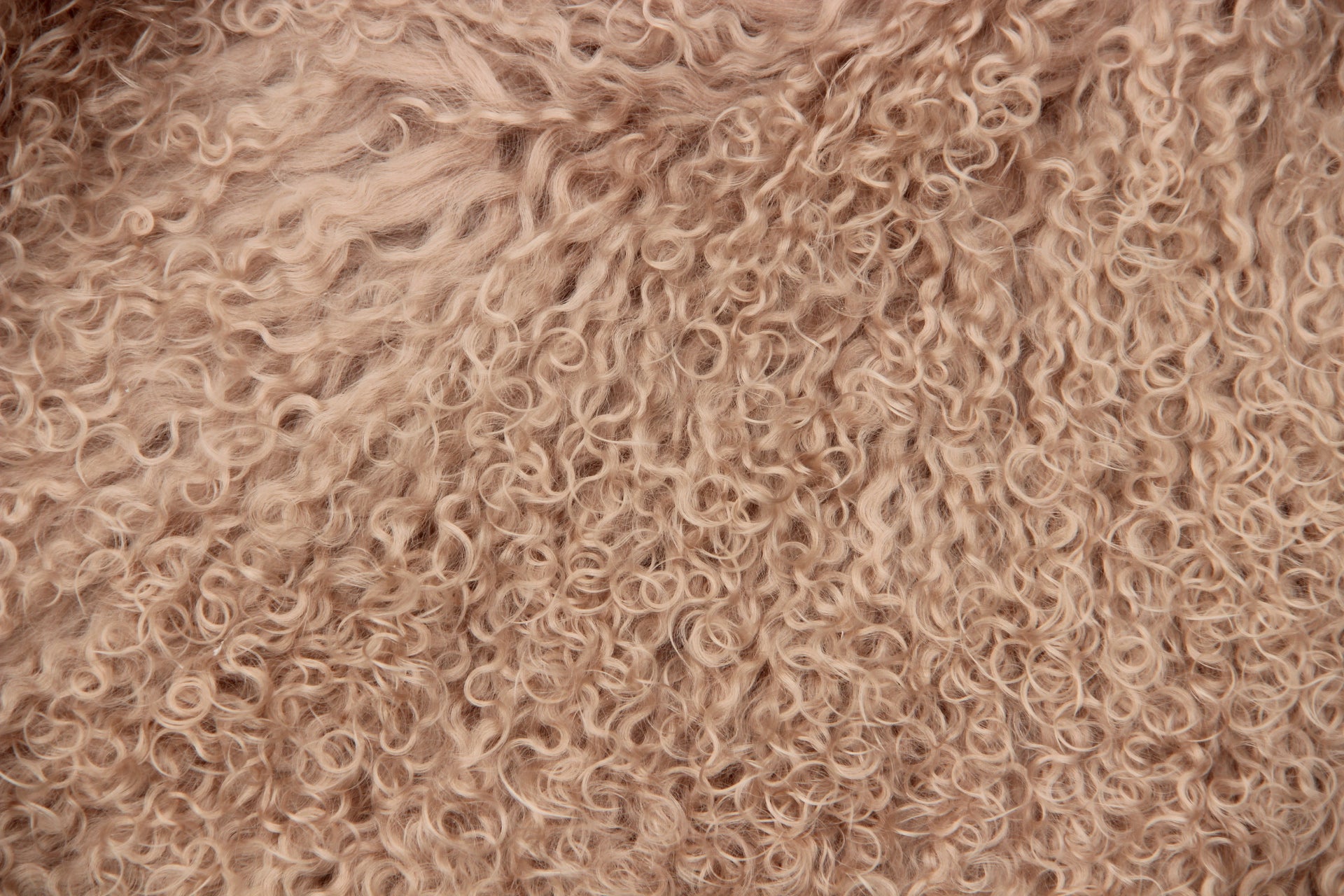 Tibet Schaffell wie Gotland taupe gefärbt