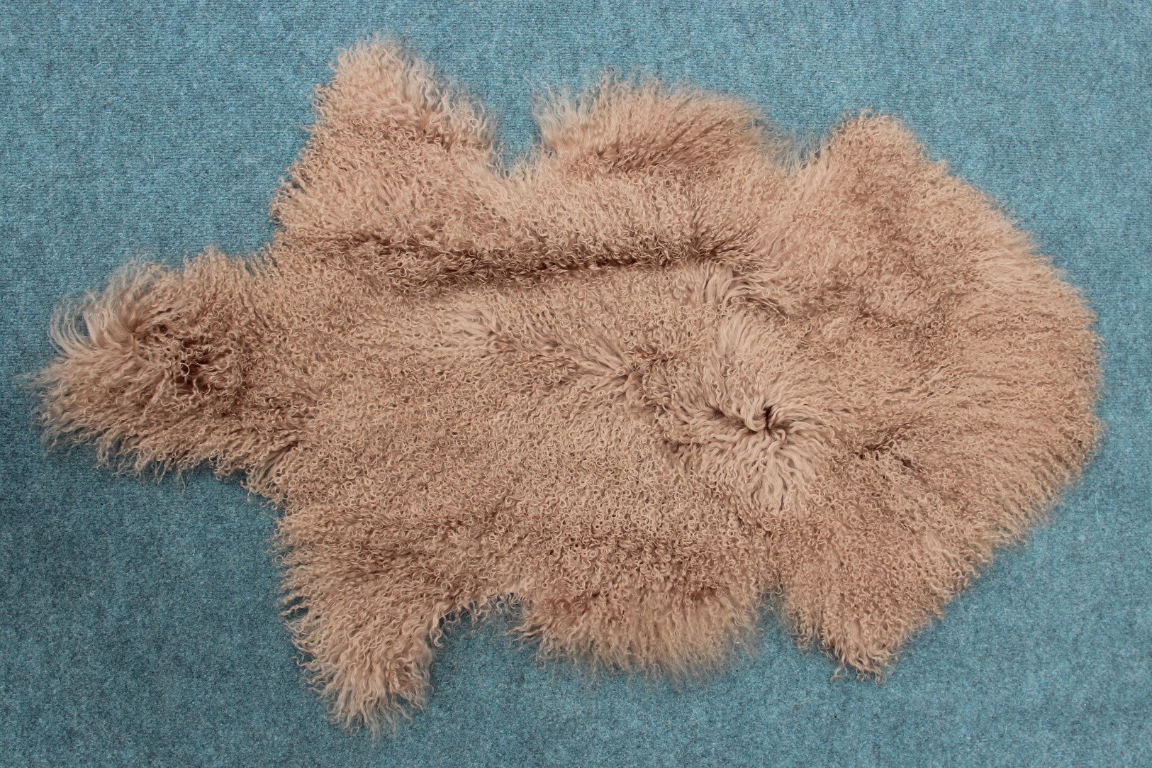 Tibet Schaffell wie Gotland taupe gefärbt