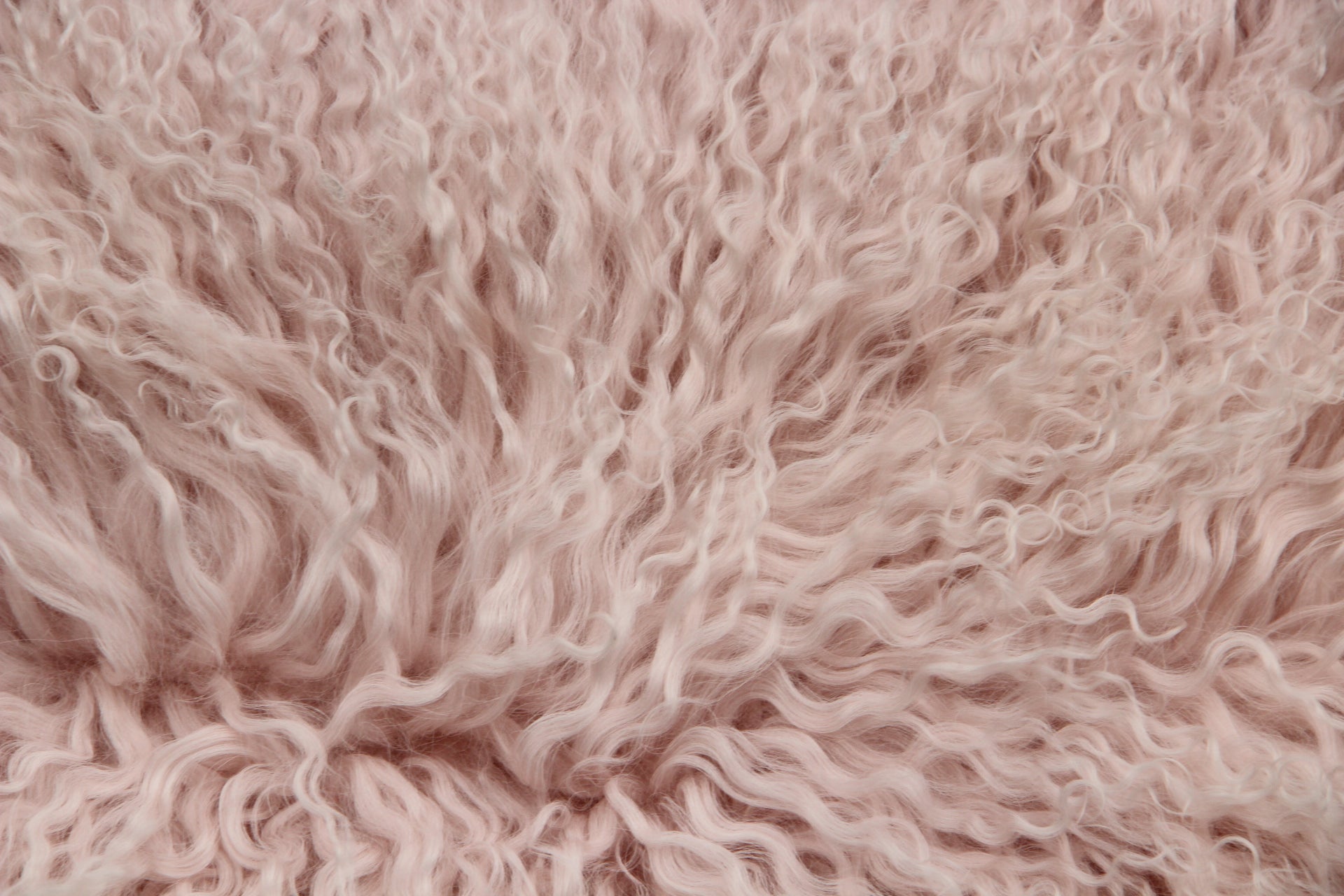 Tibet Schaffell wie Gotland rose gefärbt