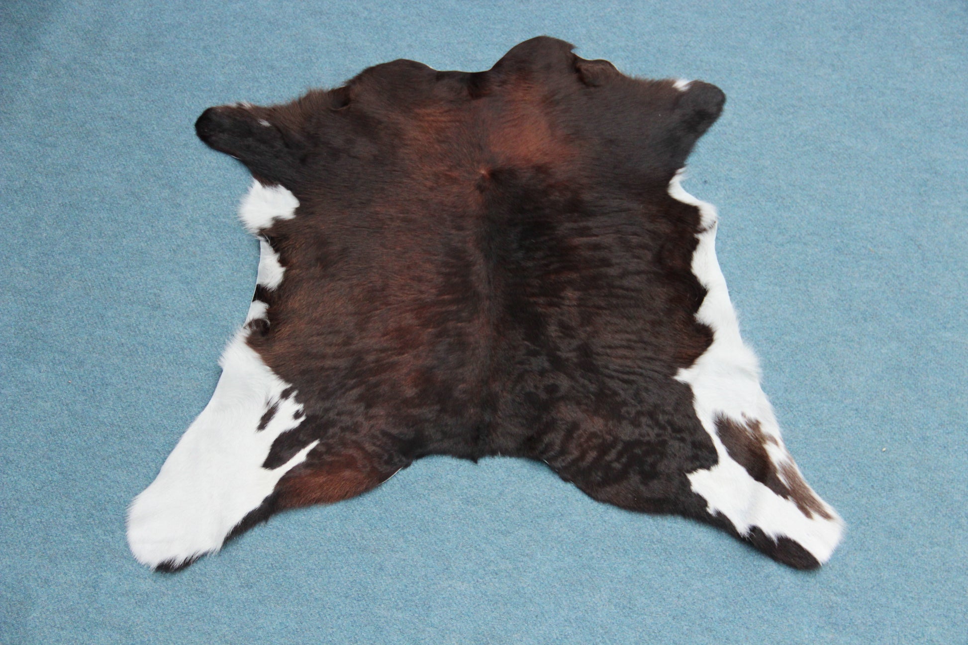 Kalbfell Tricolor Schwarz Braun Weiß