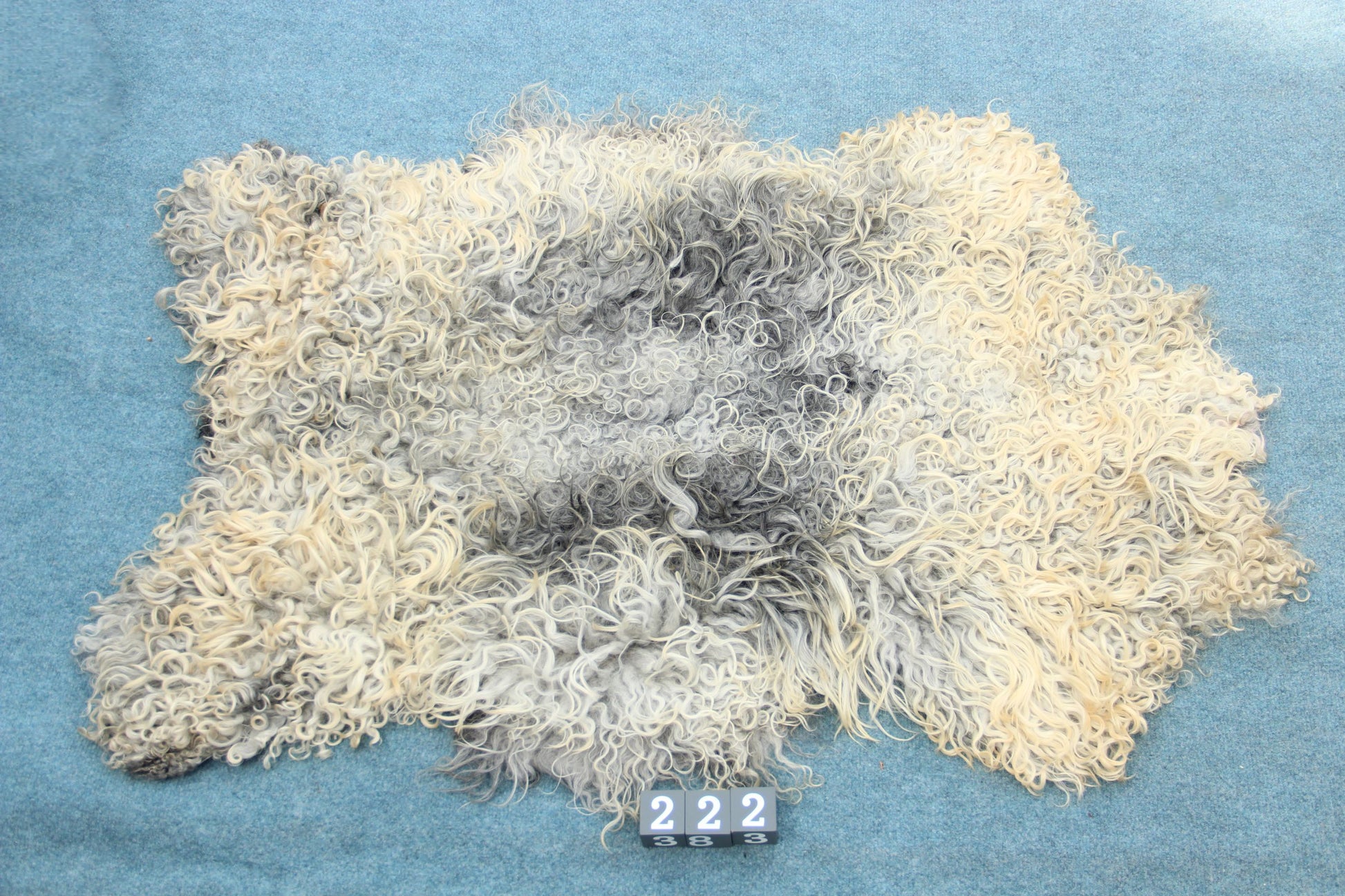 Gotland Schaffell (222)