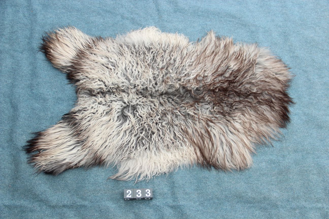 Gotland Schaffell (233)