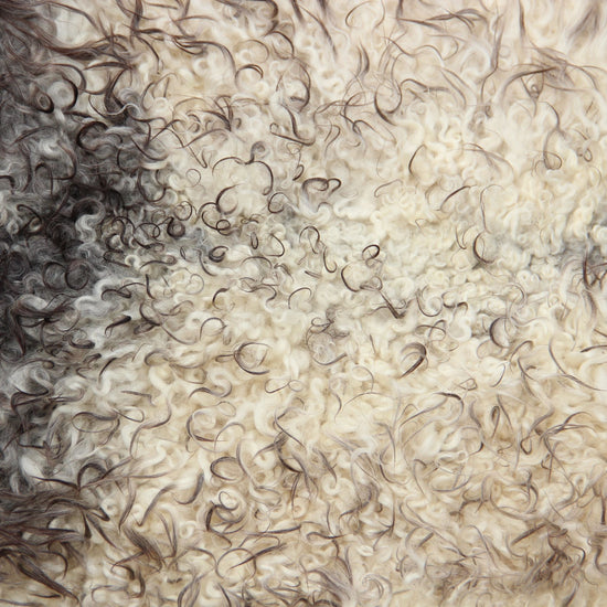 Gotland Schaffell (224)