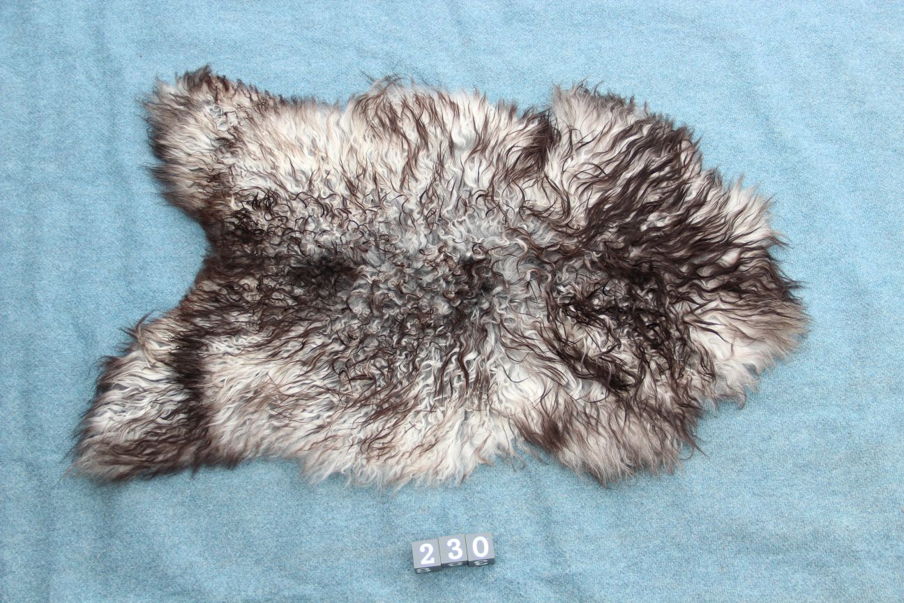 Gotland Schaffell (230)