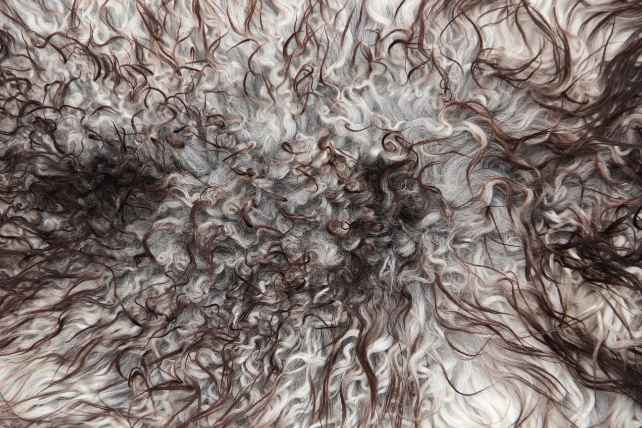 Gotland Schaffell (230)