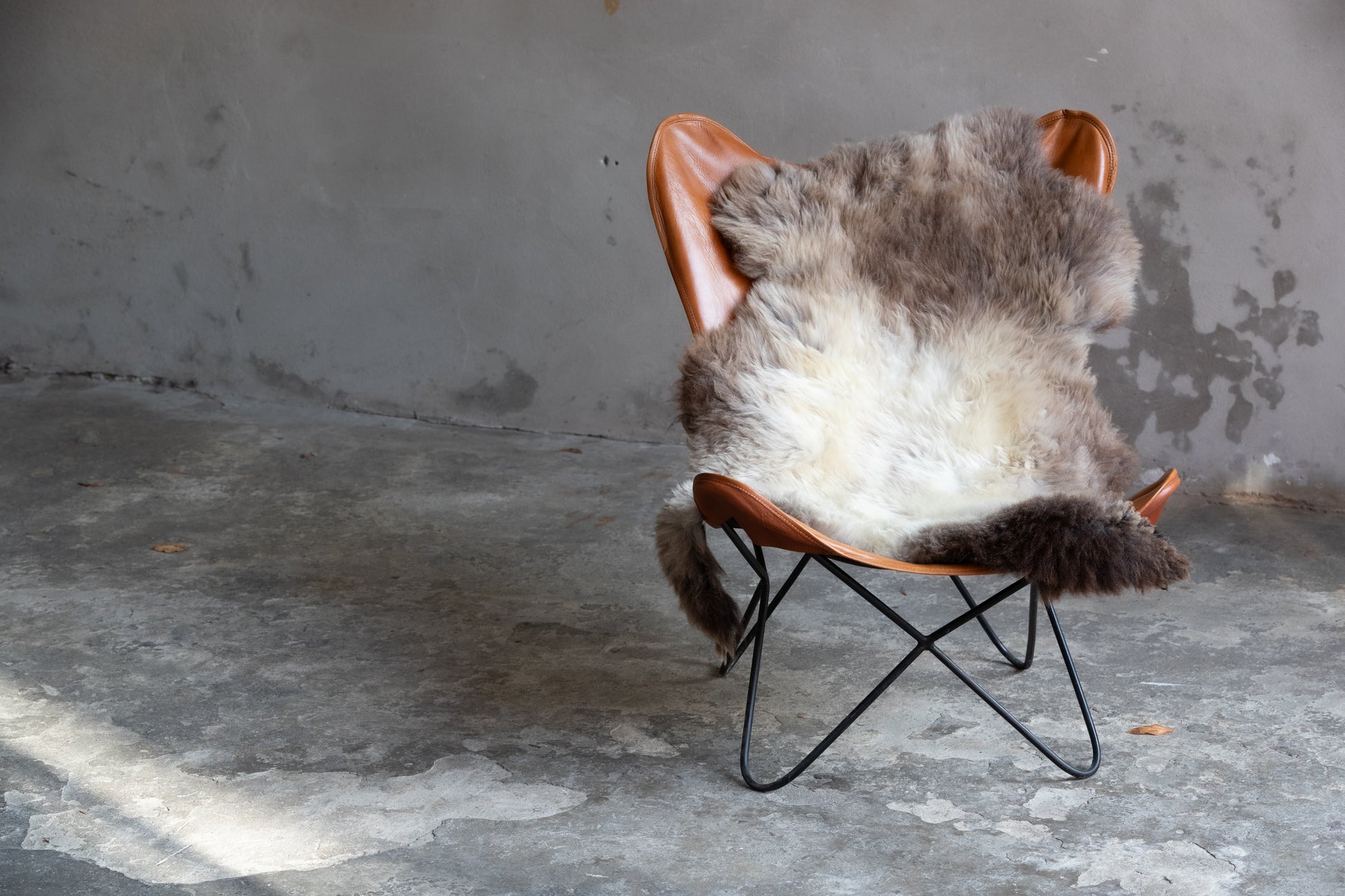 Lammfell Braun mit Silberrücken (Naturfarben)