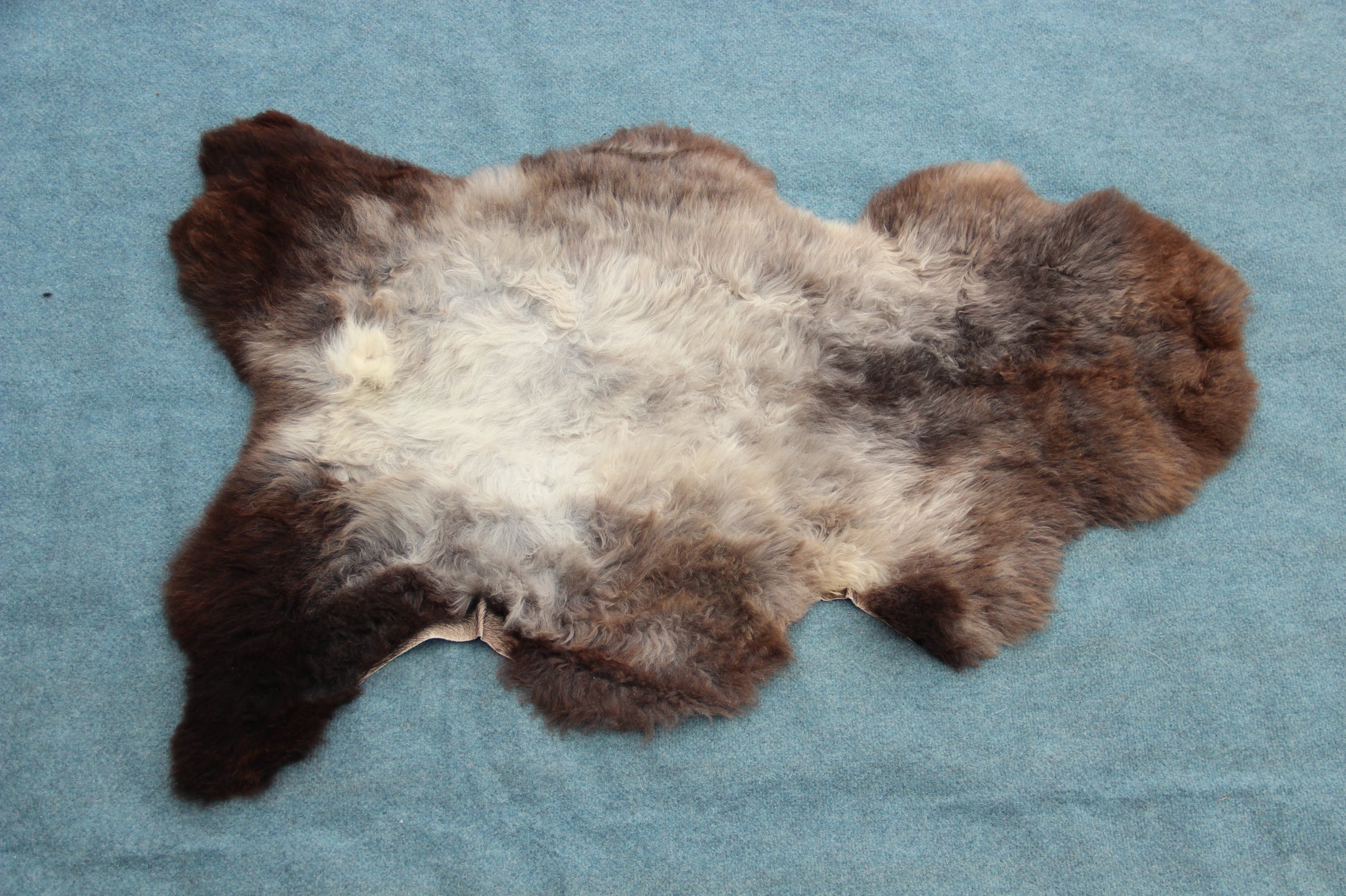 Lammfell Braun mit Silberrücken (Naturfarben)