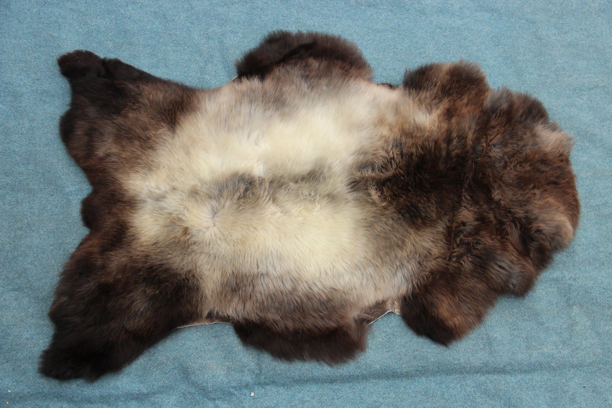 Lammfell Braun mit Silberrücken (Naturfarben)