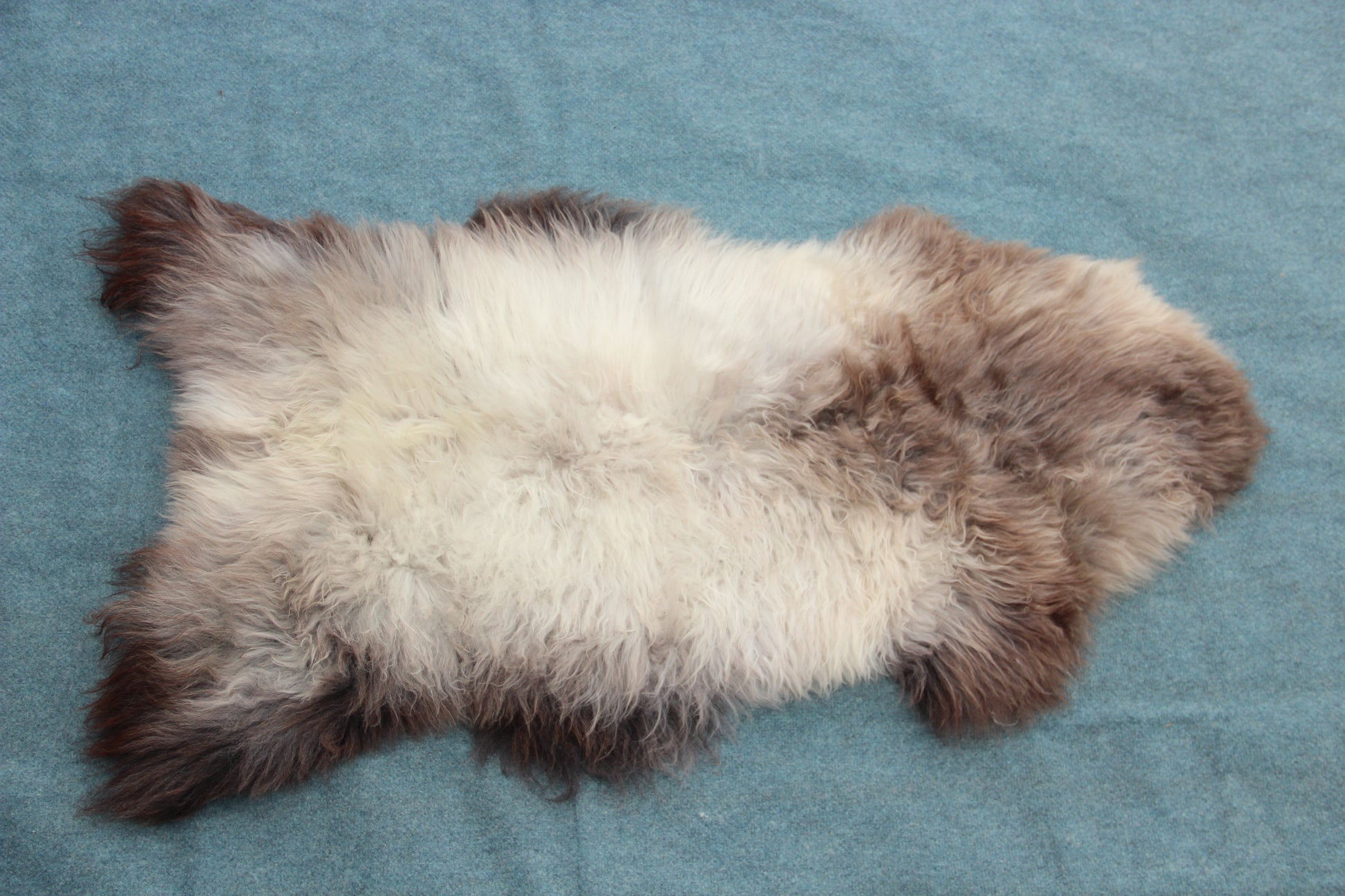Lammfell Braun mit Silberrücken (Naturfarben)