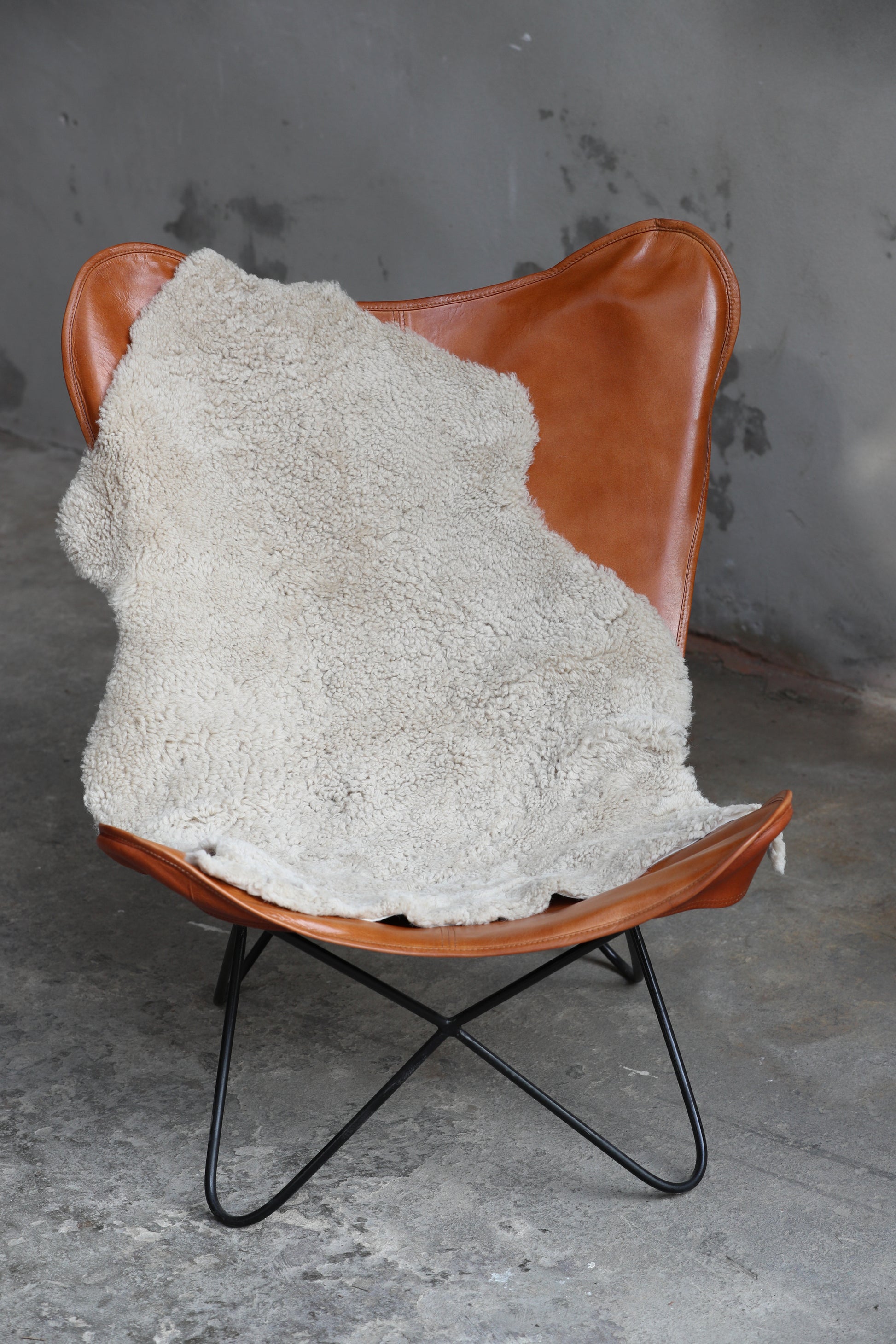 Lammfell Curly - Perl - (geschoren gelockt )