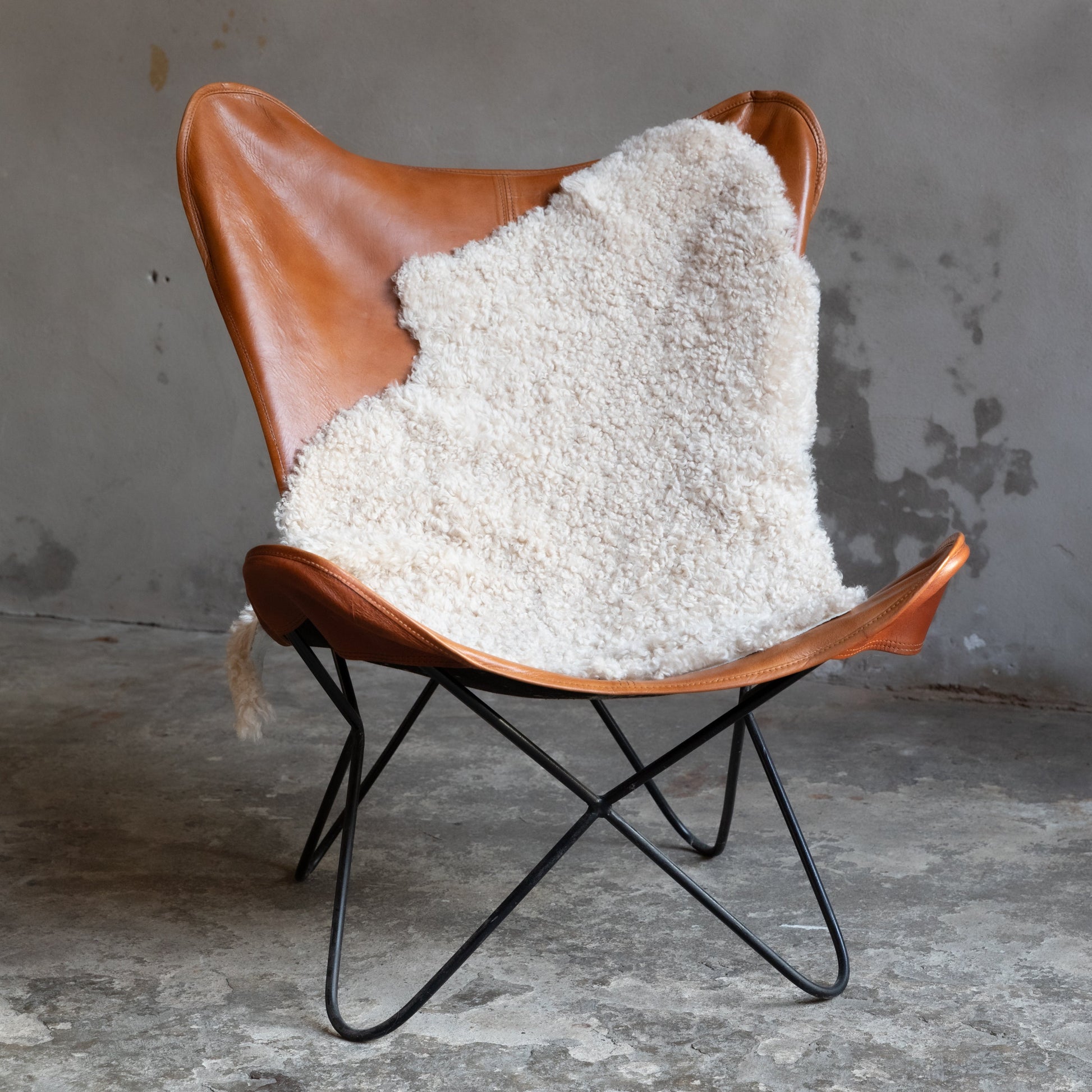 Lammfell Curly - Perl - (geschoren gelockt )